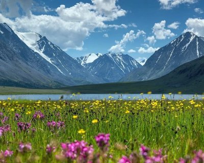 Катунский заповедник Альпийские Луга