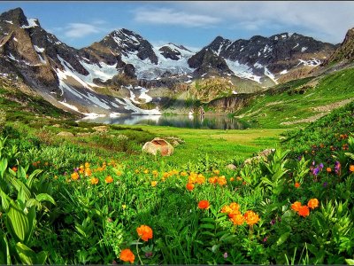 Катунский заповедник Альпийские Луга