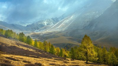 Курайская степь Алтай озера