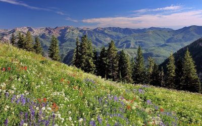 Ергаки Альпийские Луга