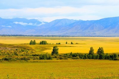 Уймонская степь (Долина)