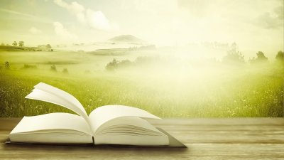 Красивый фон с книгами