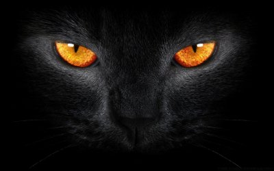 Глаза кошки