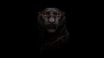 Черные обои