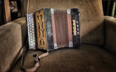 Красивый баян