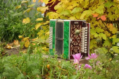 Гармонь в деревне