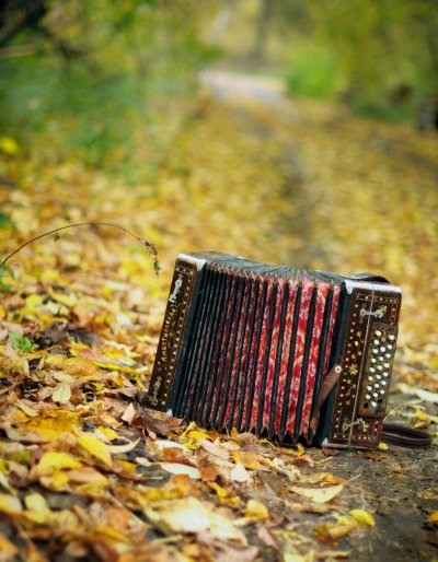 Гармонь картина