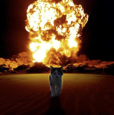 Ядерный кот