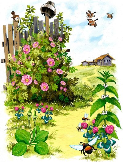 Дети и природа