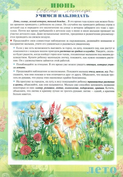 Наблюдения в природе летом