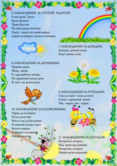 Наблюдение летом в детском саду