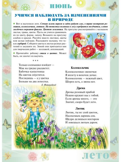 Лето в уголок для родителей