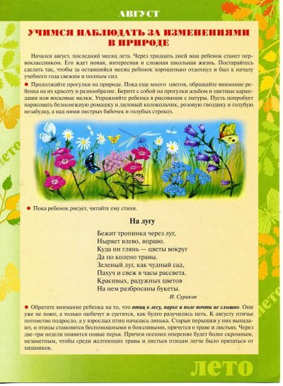 Лето в родительский уголок детского сада