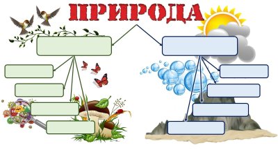 Объекты живой и неживой природы