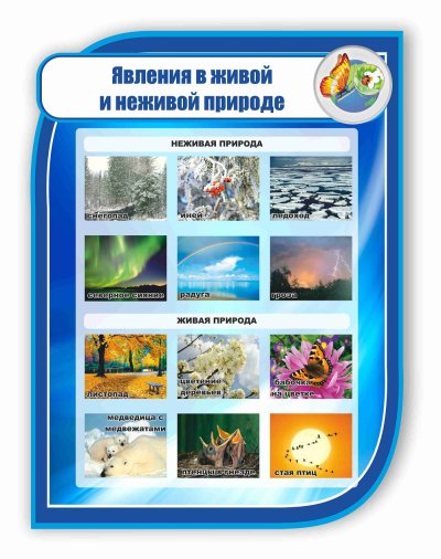 Живая инедивая природа