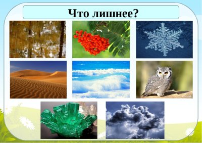 Живое неживое для дошкольников