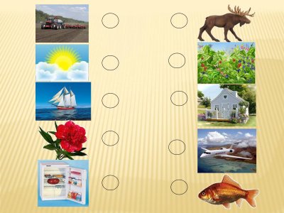 Живая и неживая природа