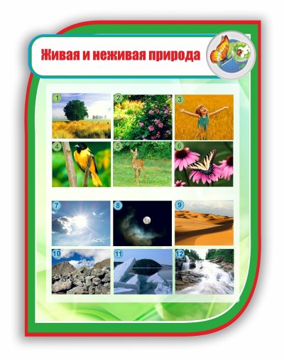 Дивая и не Дивая природа