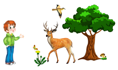 Живая и неживая природа