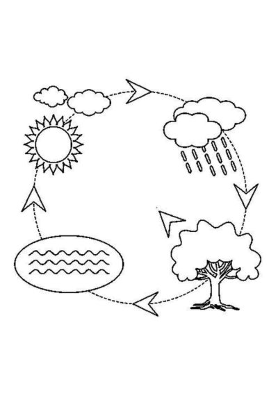 Живая и неживая природа раскраска