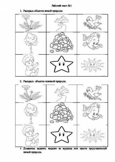 Живая и неживая природа задания для дошкольников