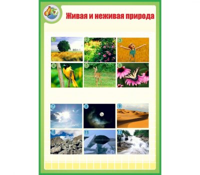 Поделка живое и неживое