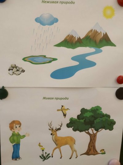 Поделка Живая и неживая природа