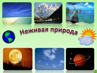 Тема Живая и неживая природа
