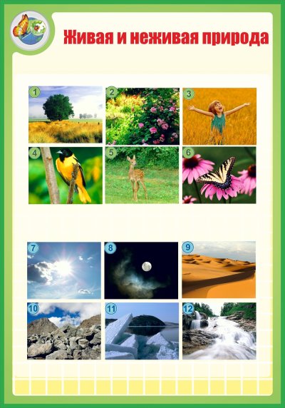 Дивая и неживаяприрода