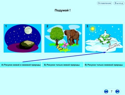 Задание на тему Живая природа