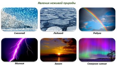 Явлени ене Живлй природы