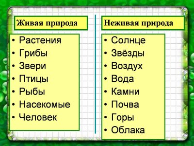 Картинки живой и неживой природы