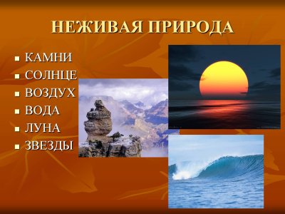 Проект неживая природа