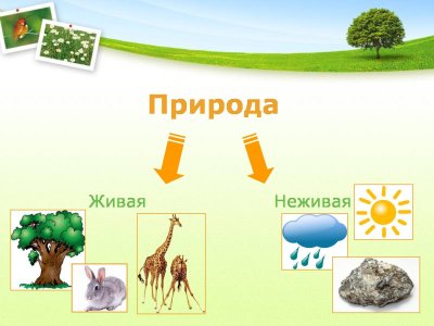 Живая и не жтвая природа