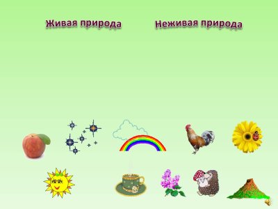 Живая и не жевая природа