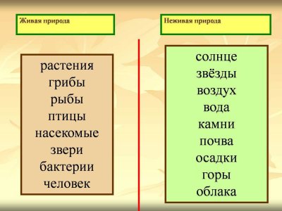 Объекты живой и неживой природы 2 класс