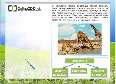 Связь живой и неживой природы