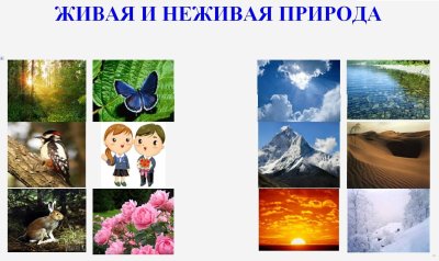 Живая Живая неживая природа