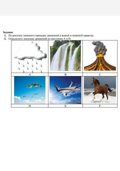 Живая и неживая природа