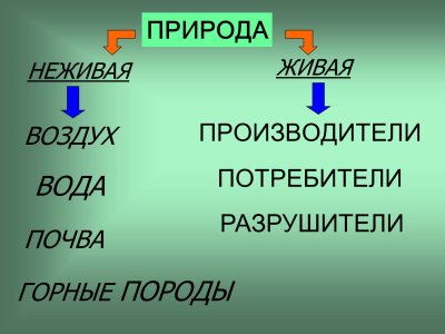 Живая и неживая природа 3 класс