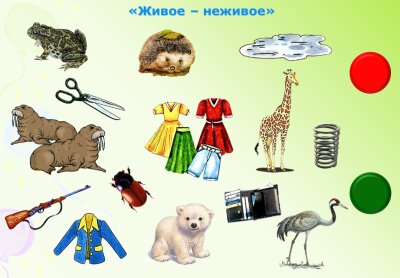 Автоматизация звука ж в словах