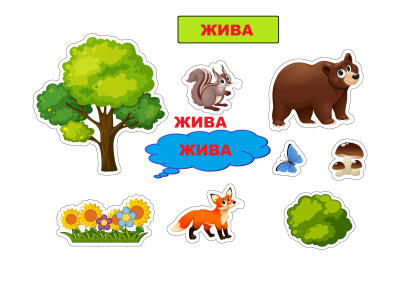 Живая и неживая природа картинки