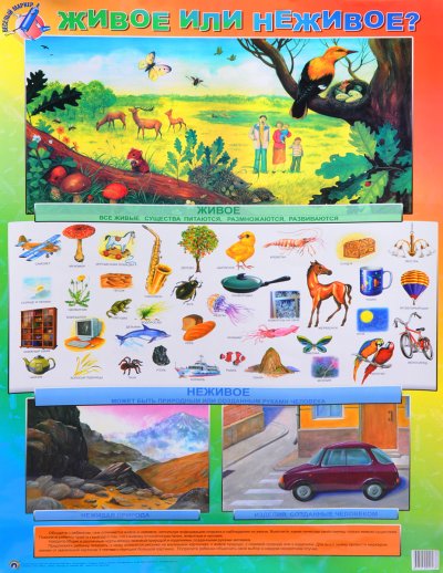 Живая и неживая природа для дошкольников