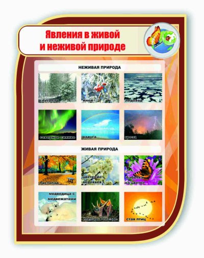 Явления живой природы