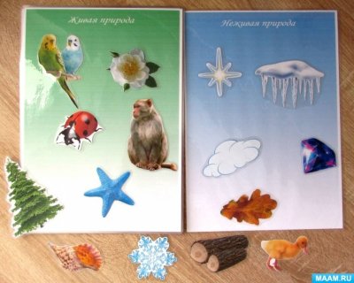 Поделка на тему неживая природа