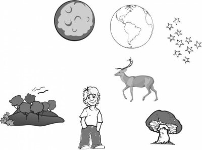 Живое неживое задания для дошкольников