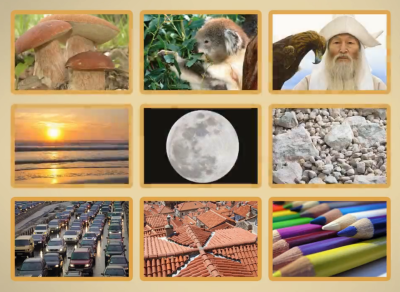 Неживая природа коллаж