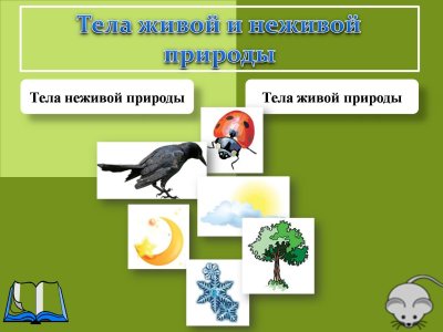 Слайд Живая и неживая природа