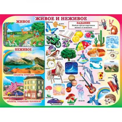 Развивающие плакаты для детей