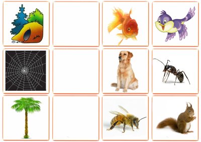 Карточки Живая природа для дошкольников